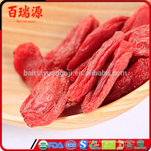 High supply goji berry dried vegetarian food fresh goji berries